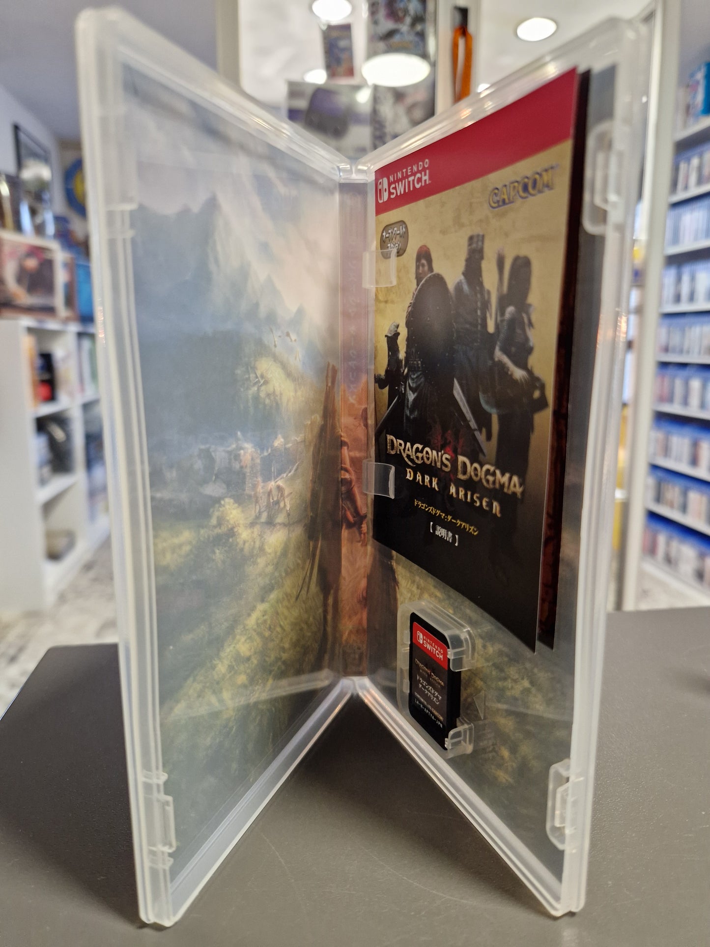 ragons-Dogma-Dark-Arisen-Nintendo-Switch-Inlay-Zustand-komplett-CERO-D