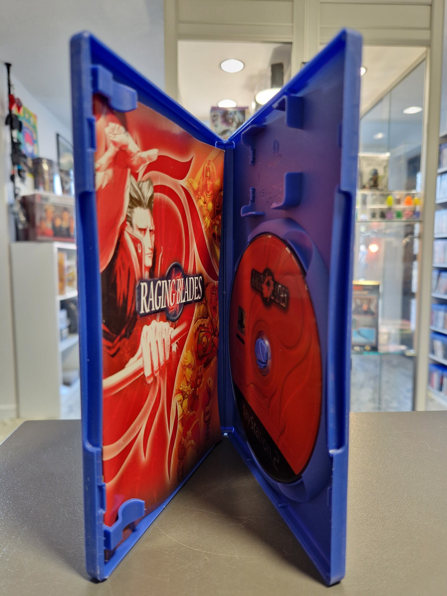 Raging Blades PS2 Anleitung und Innenseite der Hülle Zustand